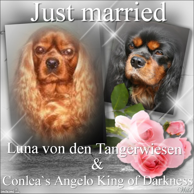 Ancient_Sunset_-_2zxDa-ZvhH_-_normal